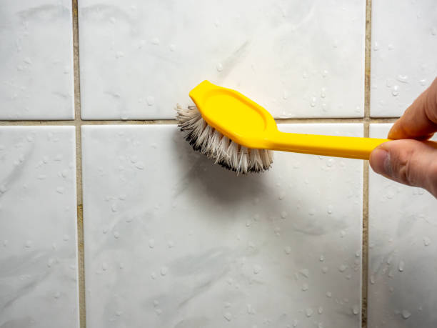Best Mold Removal Company Near Me  in Oakland City, IN